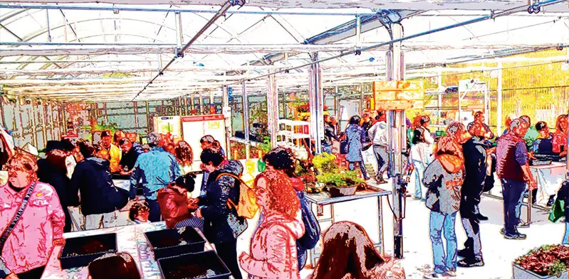 aula verde del futuro pozuelo