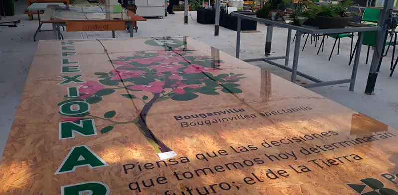 aula verde del futuro