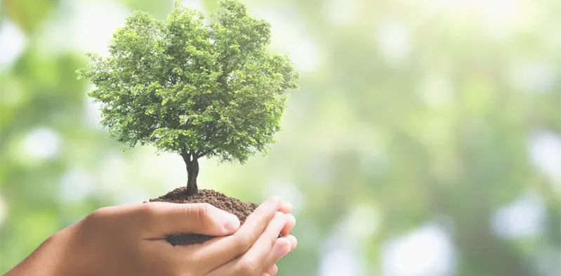 cambio climático proteccion medio ambiente desarrollo sostenible