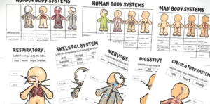 buscando al gran sanador