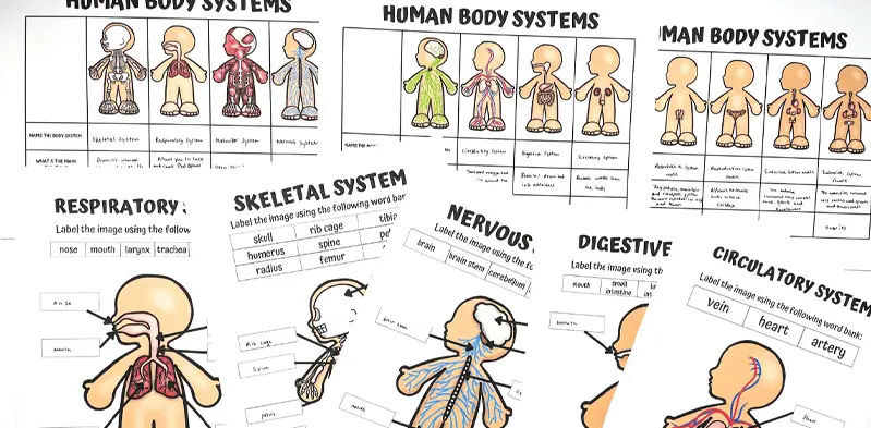 buscando al gran sanador